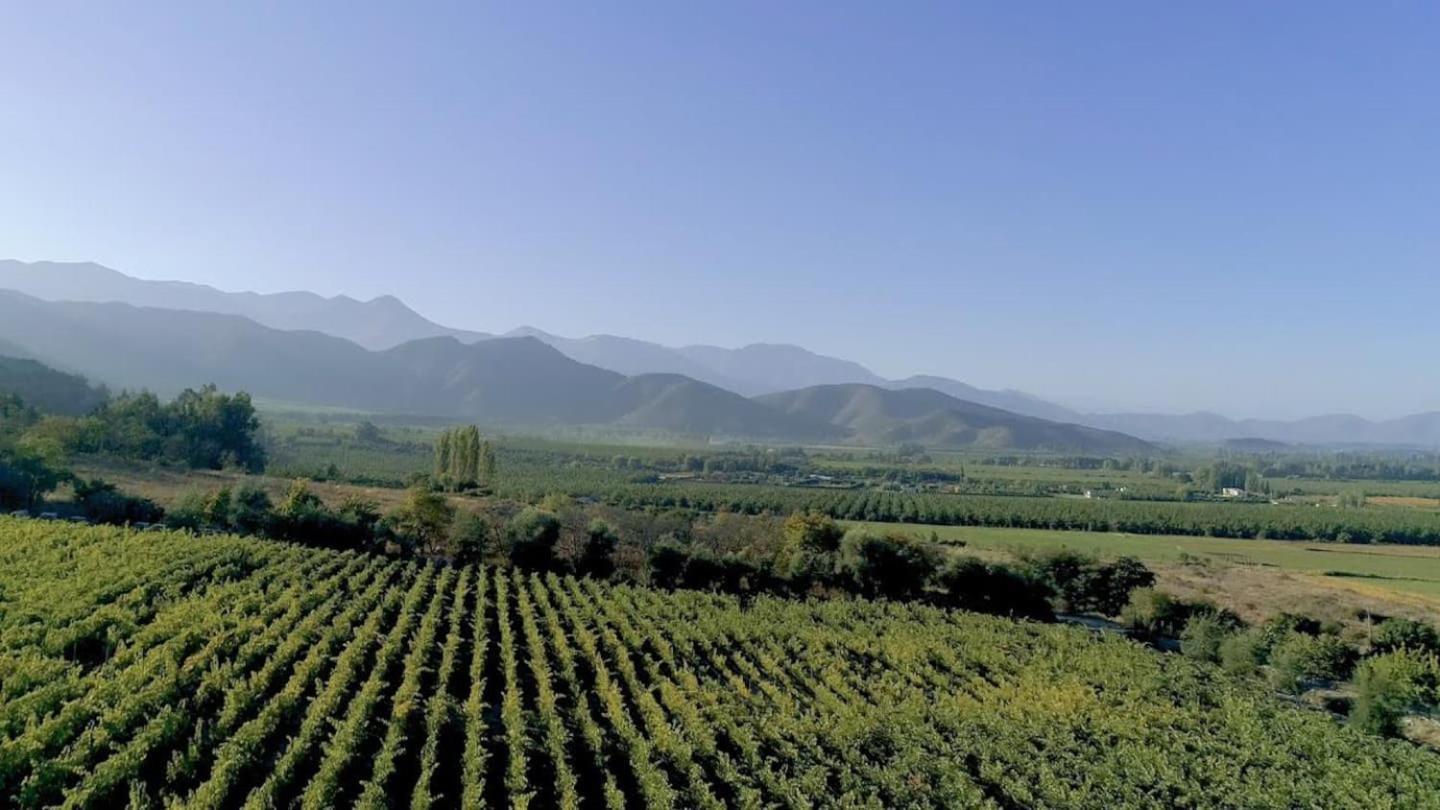 Vina Lof - Maipo Valley Bed & Breakfast In Winery Paine Luaran gambar