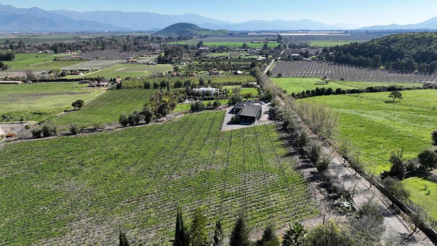 Vina Lof - Maipo Valley Bed & Breakfast In Winery Paine Luaran gambar