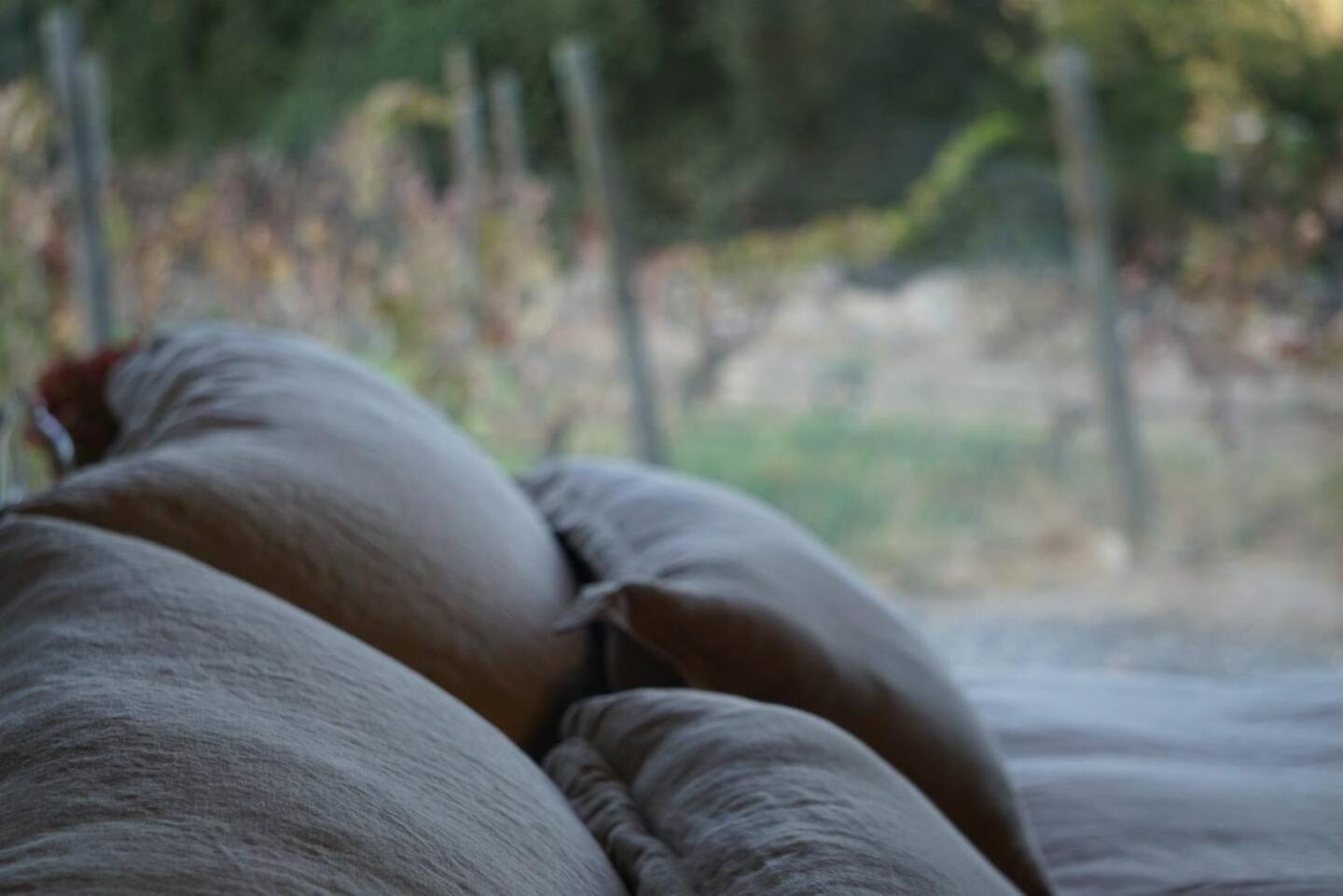 Vina Lof - Maipo Valley Bed & Breakfast In Winery Paine Luaran gambar