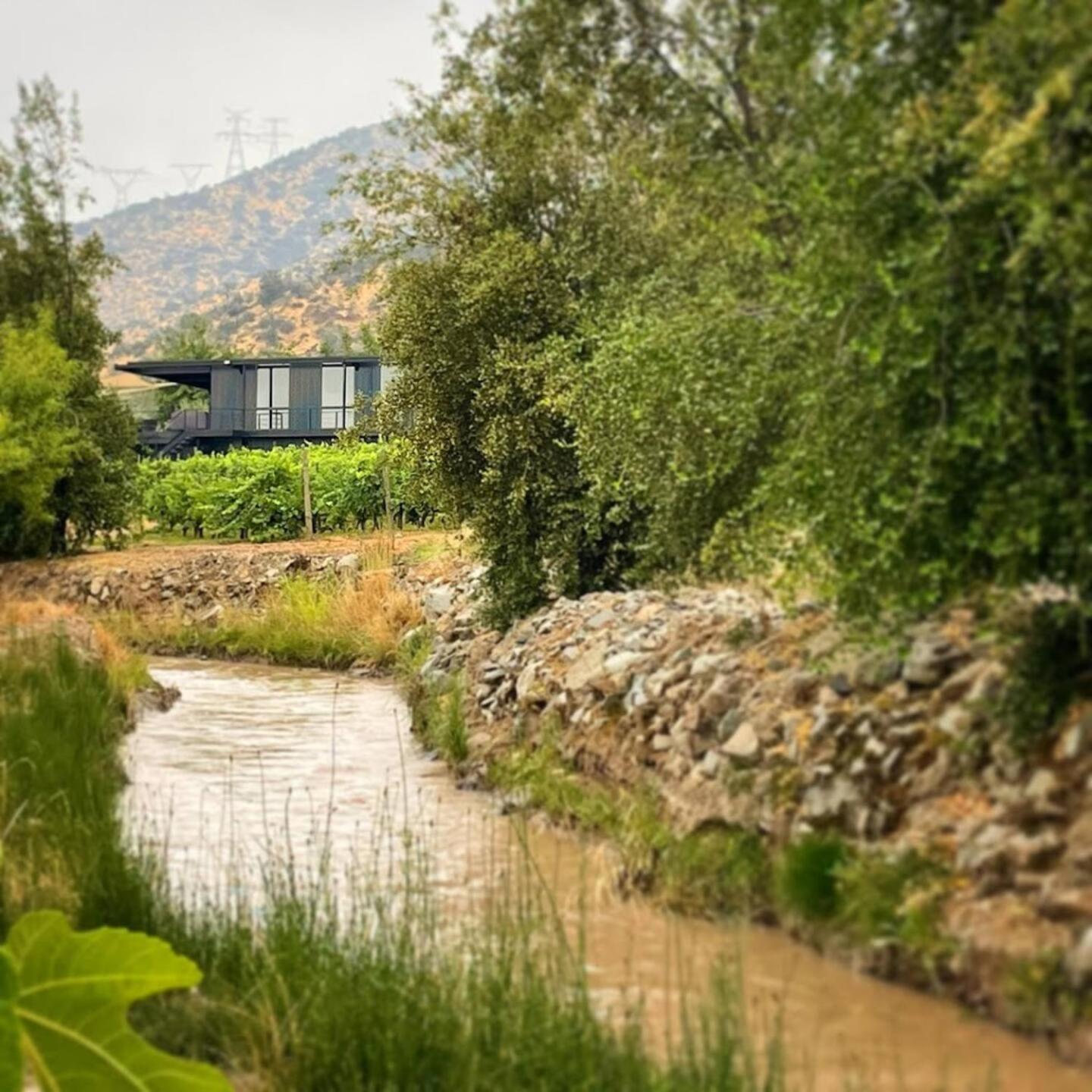 Vina Lof - Maipo Valley Bed & Breakfast In Winery Paine Luaran gambar