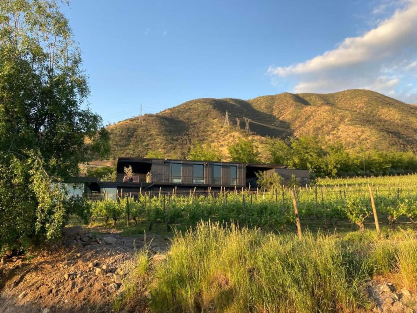 Vina Lof - Maipo Valley Bed & Breakfast In Winery Paine Luaran gambar